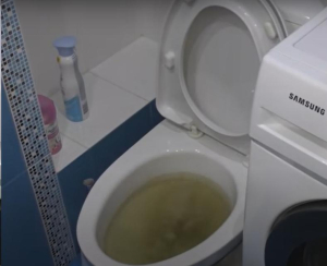 Засор в унитазе прочистить срочно Прочистка унитаза фото инструкция